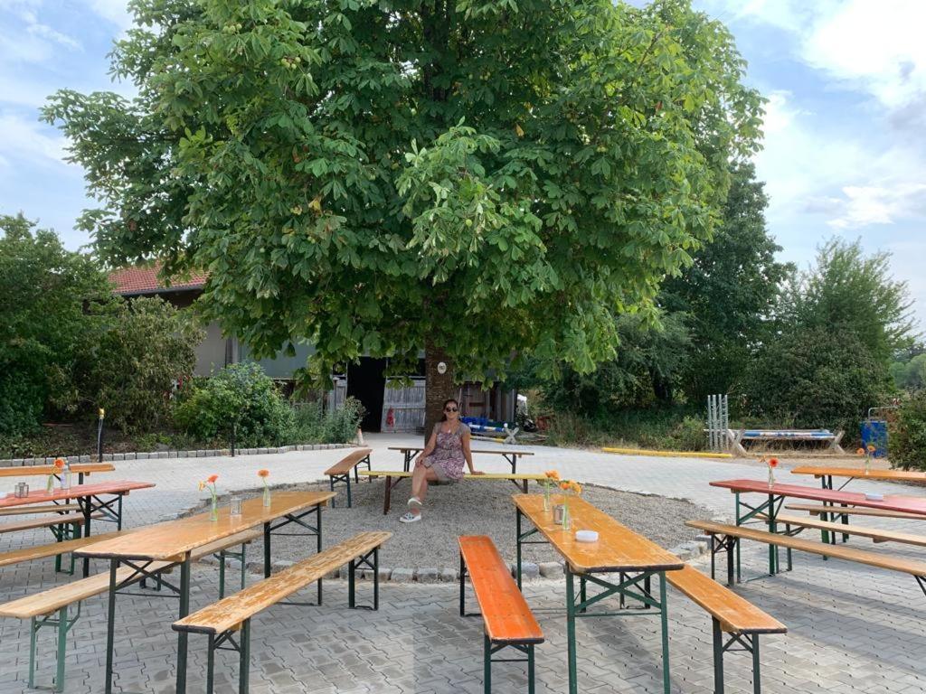 Reitschule Kronwitter Mainbernheim Dış mekan fotoğraf