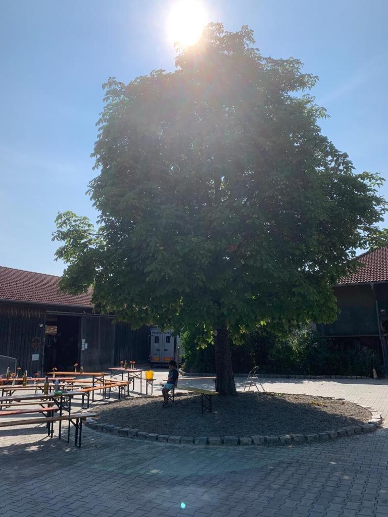 Reitschule Kronwitter Mainbernheim Dış mekan fotoğraf